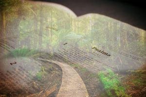 Bible Verse of the Day